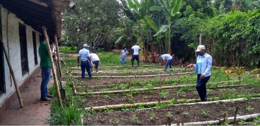 Small Agroforestry-1