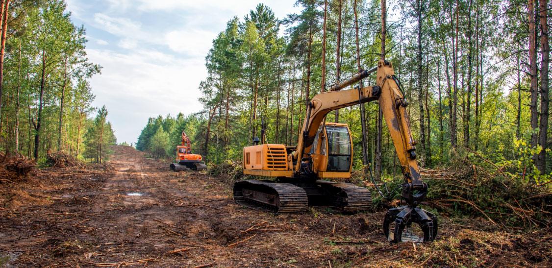 Uncovering the Root Causes of Deforestation