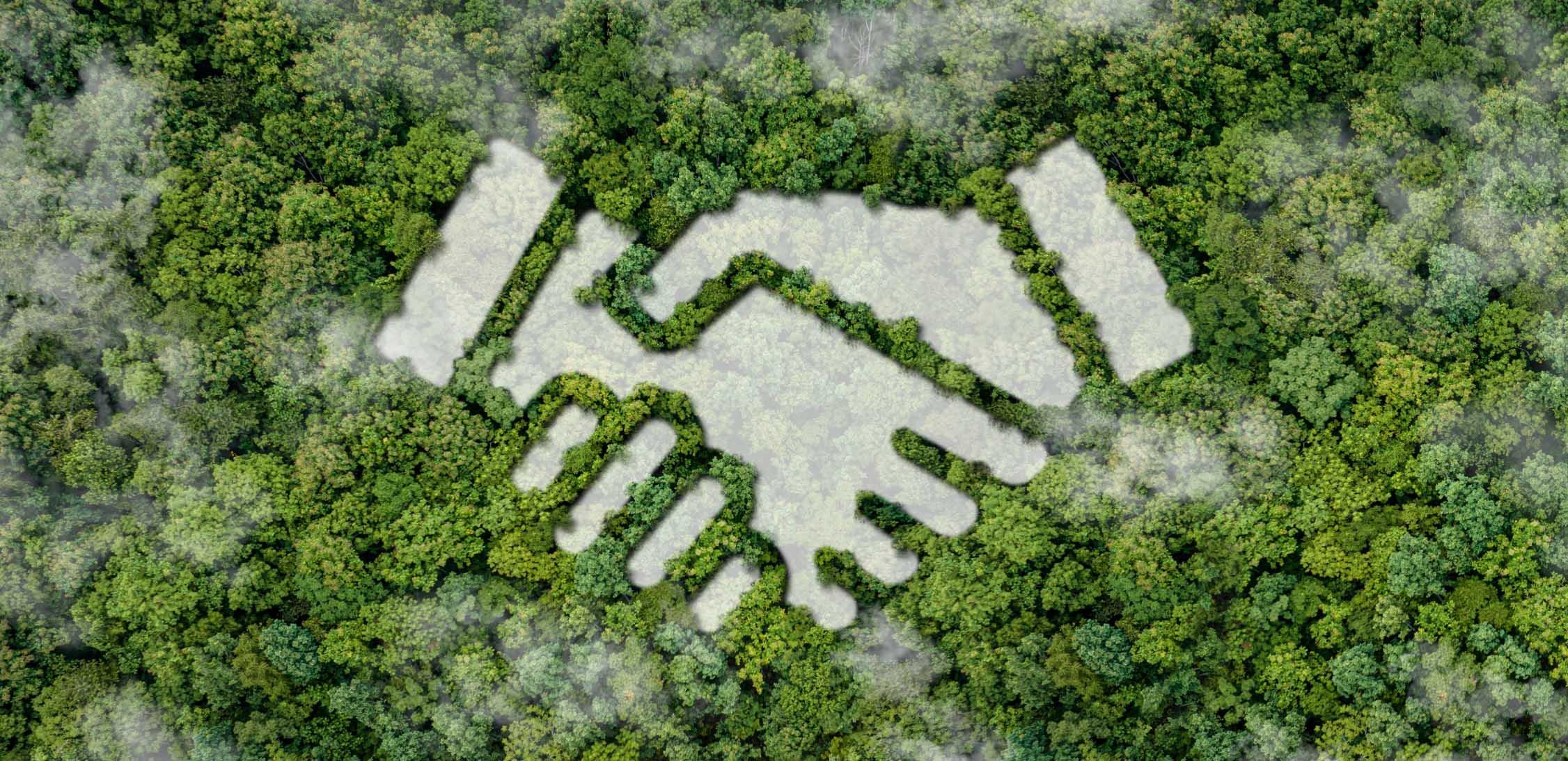 An der Baumpflanzung beteiligte gemeinnützige Organisationen, Ziele, Maßnahmen und Auswirkungen