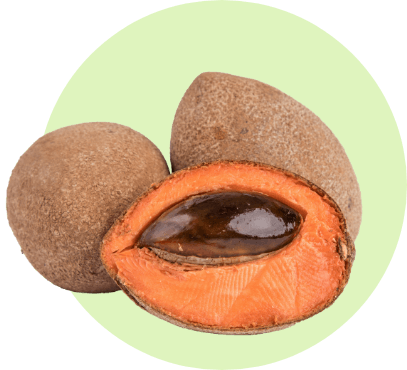 Mamey-slider-3@2x.jpg