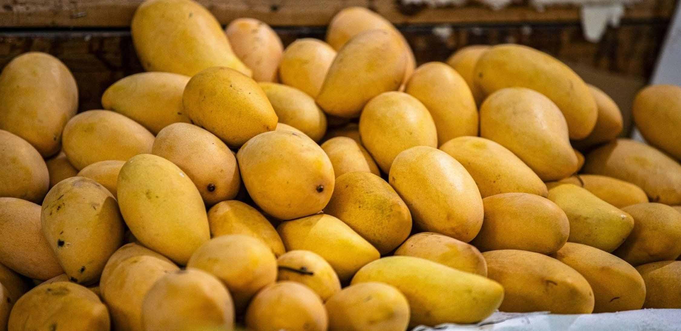 Mango criollo-slider-2@2x.jpg