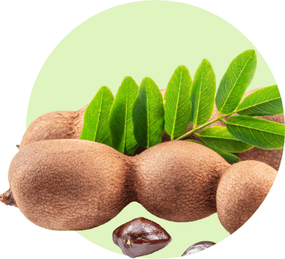 Tamarindo-slider-1@2x.jpg