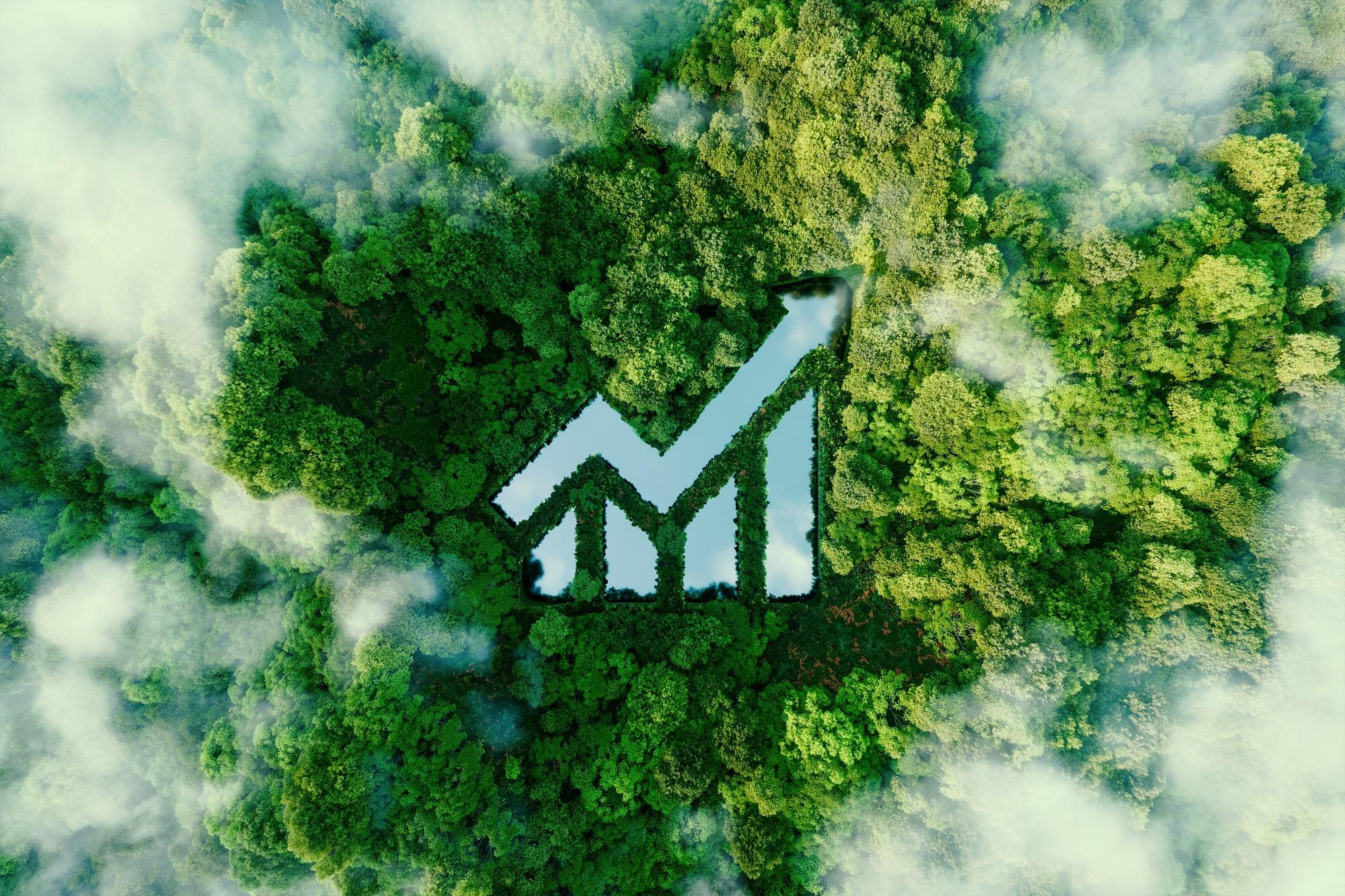 7 Benefits of Planting Trees for Social and Economic Growth