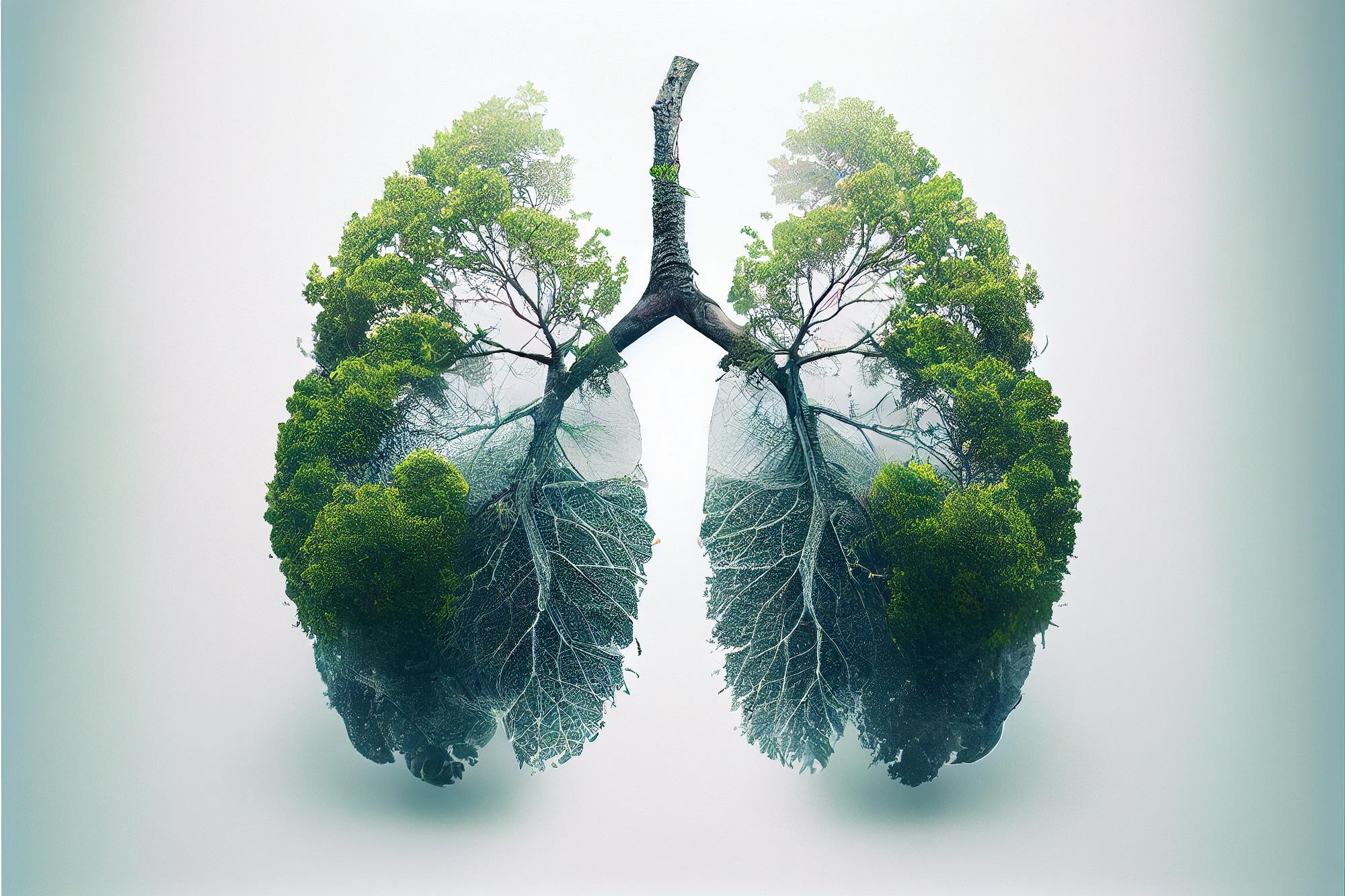 8 Environmental Benefits of Planting Trees That the World Needs