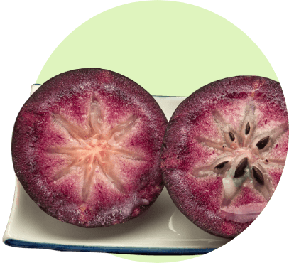 Caimito morado-slide-1.jpg