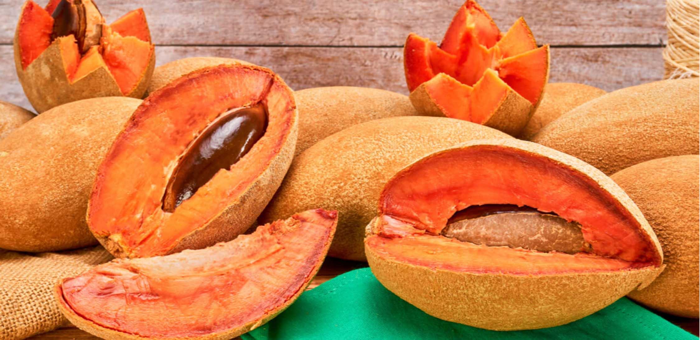 Mamey-slider-3@2x.jpg