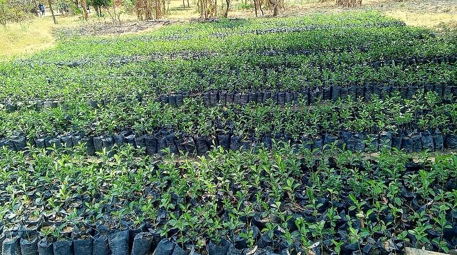 Die unsichtbaren Ernährer: Warum Kleinbauernfamilien die Landwirtschaft von morgen prägen können