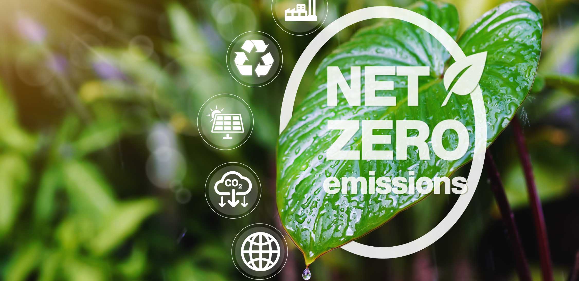 Die Rolle der Unternehmen bei der Bekämpfung des Klimawandels: Erreichen von Netto-Null-Emissionszielen